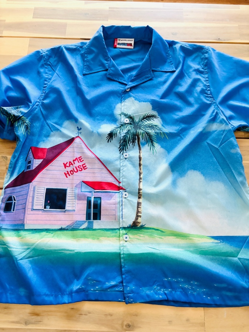 Hypland x Dragonball Kame House button down collab shirt